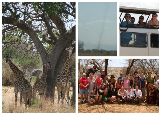 Best photo bomb ever with the giraffes; a sand tornado, our safari jeep & all 25 volunteers on safari